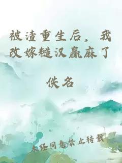 被渣重生后，我改嫁糙汉赢麻了