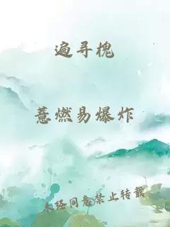 遍寻槐