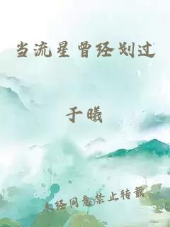 当流星曾经划过